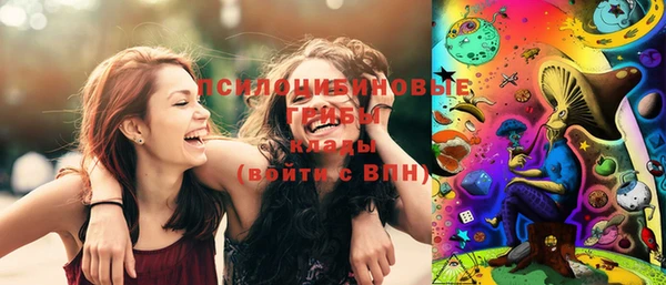 ECSTASY Волосово