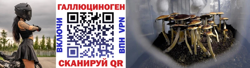 Галлюциногенные грибы Magic Shrooms  Купить где  Одинцово 